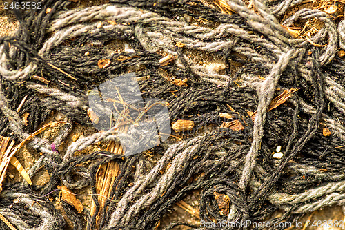 Image of heap of ropes