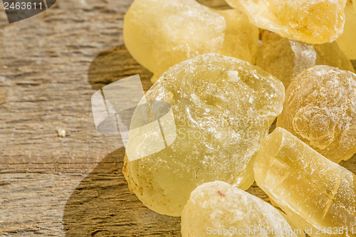 Image of Olibanum, Boswellia serrata