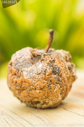 Image of apple with worm hole