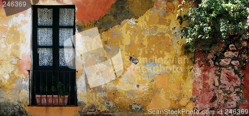 Image of Historic house in Colonia, Uruguay