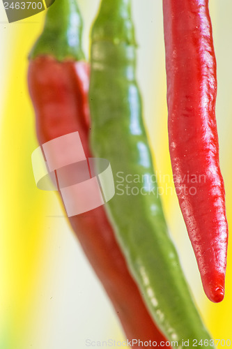 Image of red and green chili at a plant