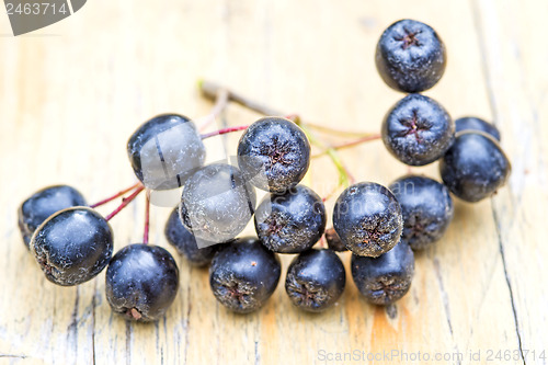 Image of Black choke berry