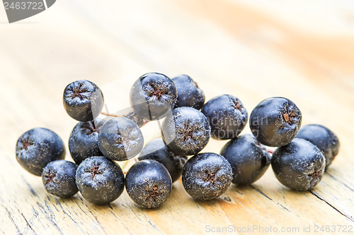 Image of Black choke berry