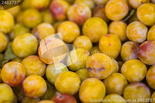 Image of Mirabelles 