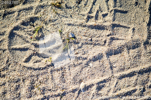 Image of Tracks in sand