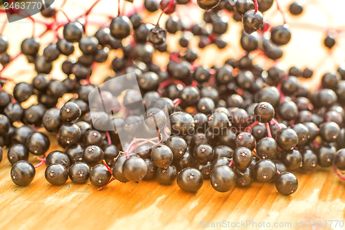 Image of elder berries