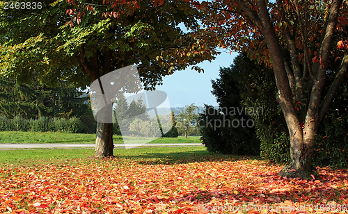Image of rural autumn landscape