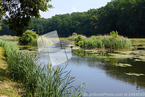 Image of Goluchow park, Poland