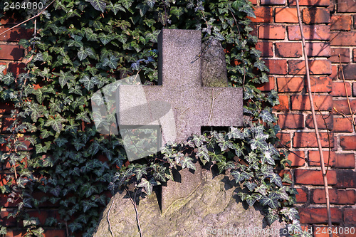 Image of Old grave