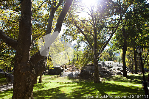 Image of NYC Central Park