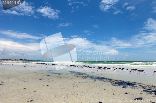 Image of Siesta Key Beach Sarasota Florida