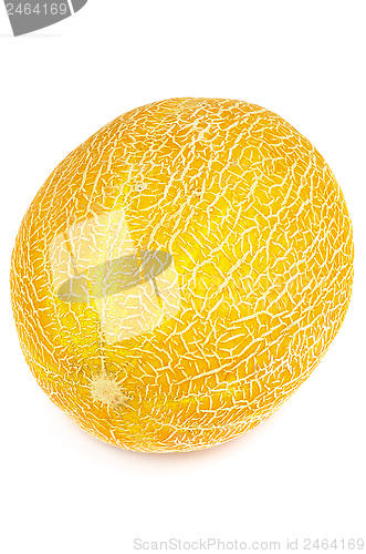 Image of Cantaloupe Melon