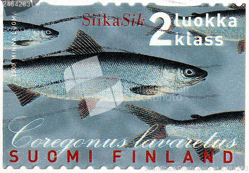 Image of Whitefish Stamp