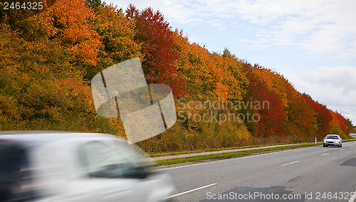 Image of Autumn in Denmark