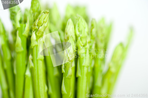 Image of fresh asparagus over white