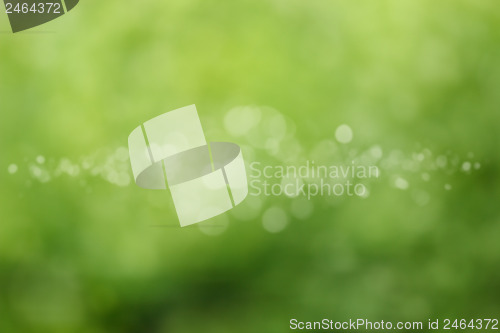 Image of Beautiful green Bokeh for background