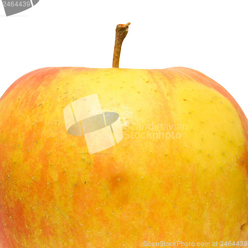 Image of Red Apple