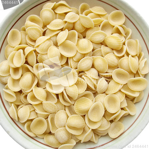 Image of Orecchiette picture