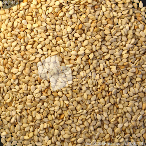 Image of Sesame seeds