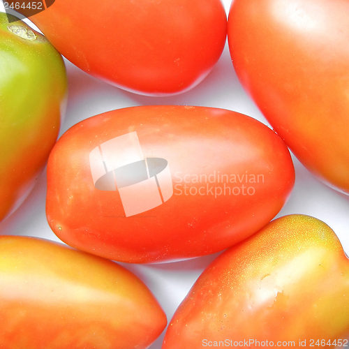 Image of Tomato