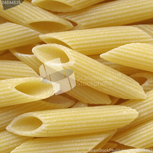 Image of Macaroni picture