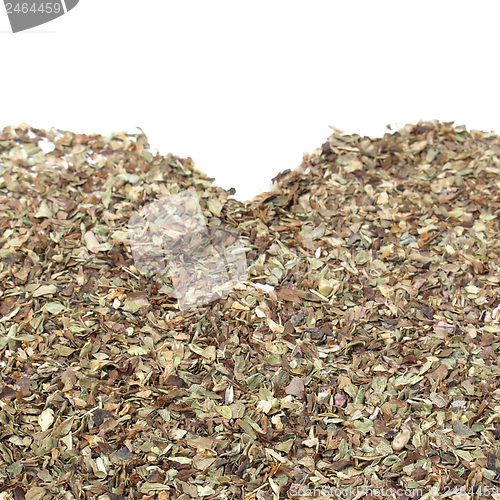 Image of Oregano spice