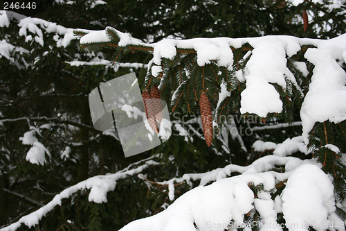 Image of winter in sweden