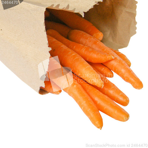 Image of Carrots