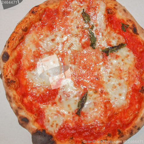 Image of Pizza Margherita
