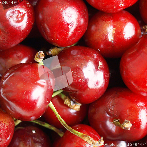 Image of Cherry