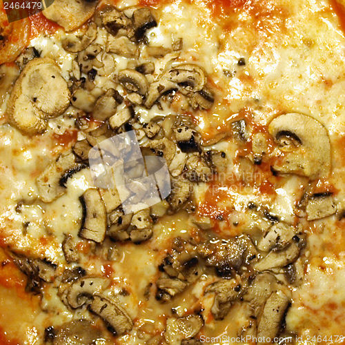 Image of Mushroom Pizza