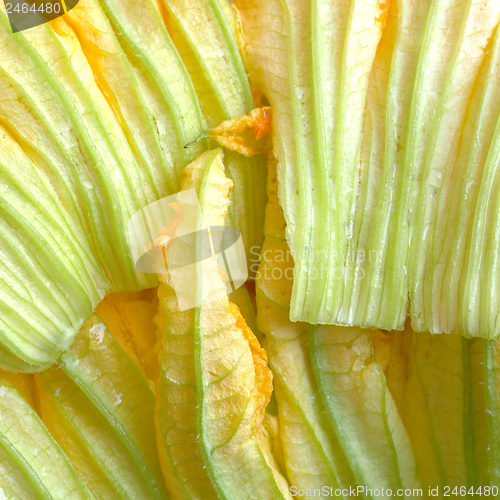Image of Courgette flowers