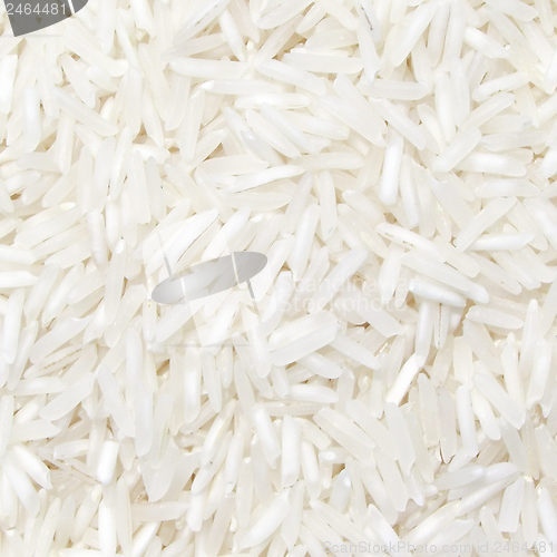 Image of Basmati picture