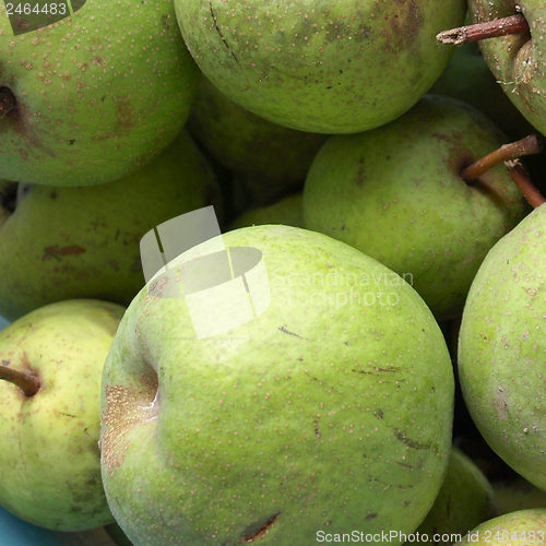 Image of Pears picture