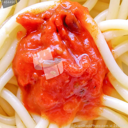 Image of Spaghetti