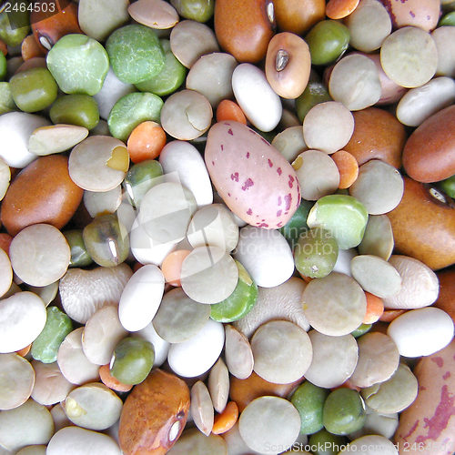 Image of Beans salad