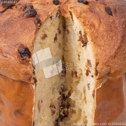 Image of Panettone bread