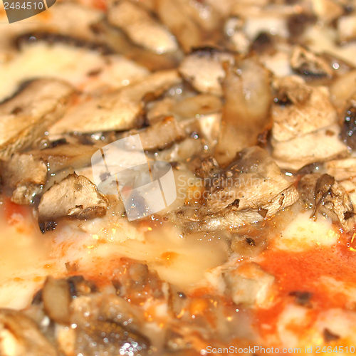 Image of Mushroom Pizza