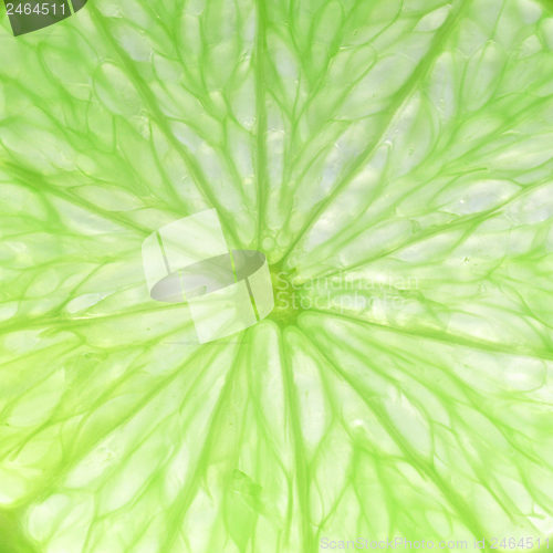 Image of Lime slice
