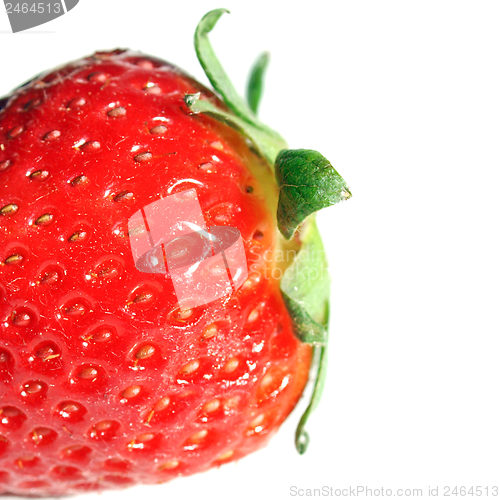 Image of Strawberry