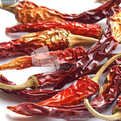 Image of Hot Peppers
