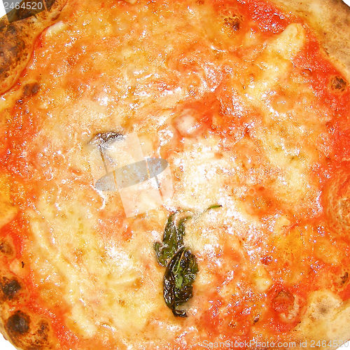Image of Pizza picture