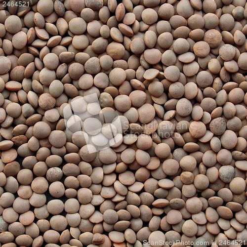 Image of Lentils picture