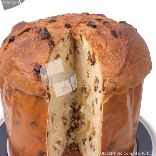 Image of Panettone bread