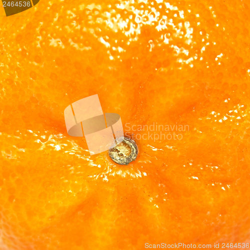 Image of Tangerine