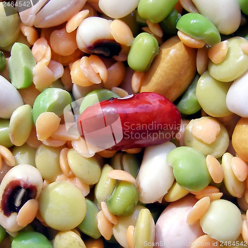 Image of Beans salad