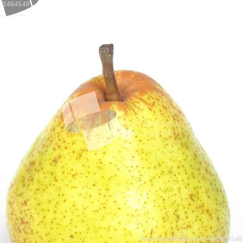 Image of Pear