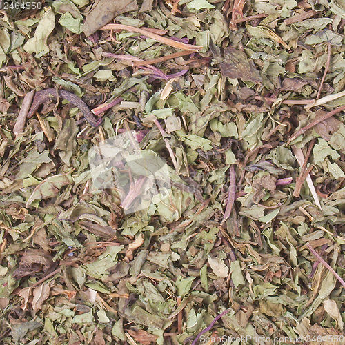 Image of Dried peppermint