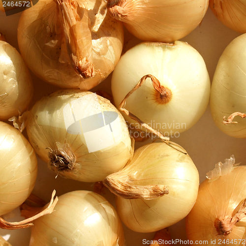 Image of Onions picture