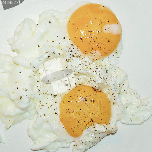Image of Fried egg